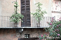VBS_7370 - Saluzzo